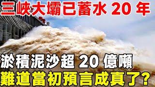 三峽大壩已經蓄水20年，淤積泥沙超20億噸，難道當初的預言要成真了？ #三峽大壩 #工程 #水利工程#超級工程