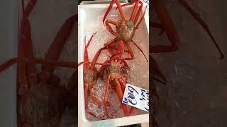 Simple Cooking Crab #shorts travel,cooking, gardening