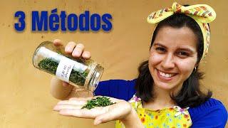 Cómo DESHIDRATAR HIERBAS en casa | un té con Daniela