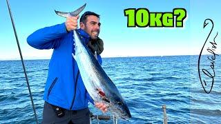 I FIGHT with a 10kg TUNA and COOK it on a sailboat!