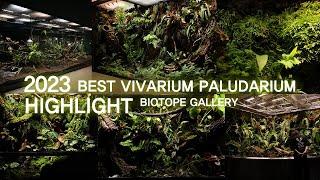 BIOTOPE GALLERY 2023 BEST VIVARIUM PALUDARIUM HIGHLIGHT | 비오토프 갤러리 2023 베스트 비바리움 팔루다리움 하이라이트 모음