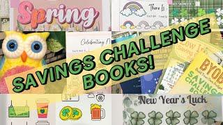 SAVINGS CHALLENGE BOOKS from Amazon! Cash envelope stuffing and saving for sinking funds! Spring!