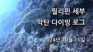 2024년 10월 11일 필리핀 세부 막탄 다이빙 로그