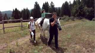 First Riding Horse for Amelia, Tara, Serbia