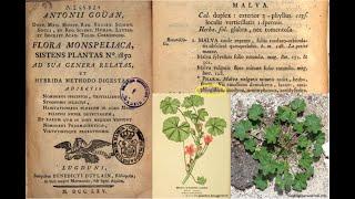 18th Century Herbal with Brian Altonen