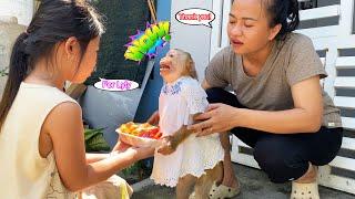 Monkey Lyly unexpectedly received a special gift from the neighbor girl.