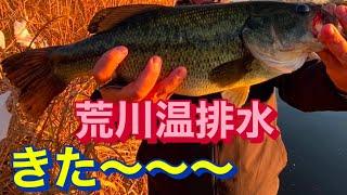 衝撃！ 荒川 ビッグベイト 温排水 バス釣り おかっぱり