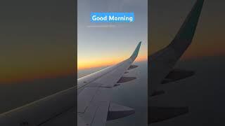 ALL THE WAY UP! #travel #amazing #shortvideo #traveling #shortsfeed #viralvideo #viral_video #shorts