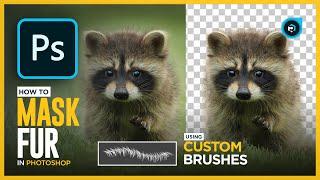 The Best Way To cut out animal fur in photoshop