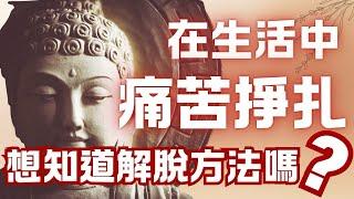 為什麼我們會感到生命中充滿痛苦和掙扎？如何從無明、愛、取中解脫，找到內在自由？到底是什麼在驅使我們不斷追逐卻又不斷失落？