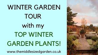 Winter GARDEN TOUR - plus my TOP WINTER GARDEN PLANTS