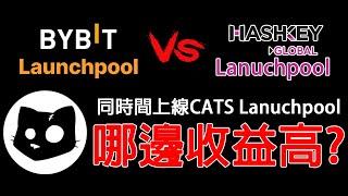 Hashkey vs BYBIT CATS Lanuchpool 同時間上線! 哪邊收益高? 預估收益算給你看! 農場嚕羊毛EP193