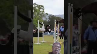 https://youtube.com/shorts/IdwJxcgKc7Y?si=F6Evuv7XpK4RrbD4