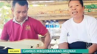 Gambus Mbojo|Babarao-Mujnah(Wa'a Wea)