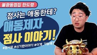 점사는 애동한테? 애동제자 점사 이야기 은평구점집 한도령