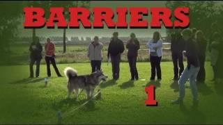 Teach your dog to stay in your yard- Invisible Barriers Part 1- Dog Training