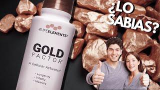 5 Curiosidades de 4Life Gold Factor