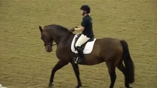 Kelly Jewell, (Mrs Equidance) Introducing what we do at a Gala evening