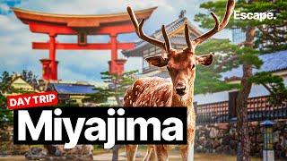 The Best Day Trip from Tokyo: Explore Miyajima Island 