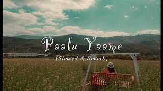 Paalu Yaame(පාළු යාමේ) |Slowed&Reverb| Iman Fernando|Ma Sonduriya Penamane #slowedandreverb #sinhala