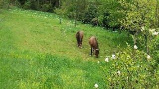 fin de vie, euthanasie comment faire le bon choix?