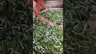 कीड़ों से रेशम कैसे बनता है? How silk is made #shorts #viral