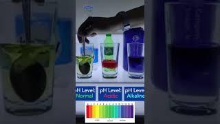 Water pH Level check || Enagic Kangen Water