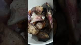 Mouthwatering Mutton Leg Recipes | पोसिलो खसीको खुट्टाको मासु Asha Partel A3B |#सब्सक्राइब