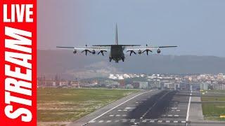  Lisbon Airport LIVE WINDY Plane Spotting