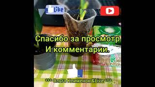 Как приятно получать подарочки в виде посылки.