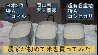 【お米の食味対決】千粒重と目隠しでの実食で比べてみました。