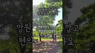 망원한강공원 가야하는 이유 4가지 #한강