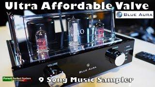 Blue Aura V40 ULTRA AFFORDABLE HIFI TUBE Amplifier REVIEW 9 Song Music Sampler