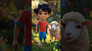 Rita the Pet Sheep! 