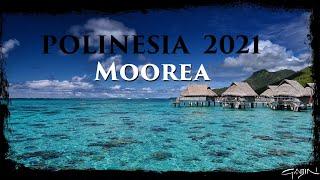 Polinesia Francese  2021 - Moorea express, mini tour per nuotare con le BALENE!