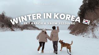 Korea Vlog | ️ Winter in Gangwon-do, Sky Ranch + Snow Sledding with our BIG DOG 