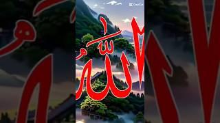 Islamic Editz #viral #shotsfeed #shorts #youtubeshorts #calligraphy #cricket #foryou