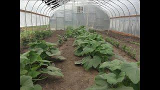 Alaska Garden,NRCS High Tunnel Program