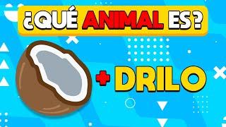 Adivina el Animal con Emojis  | Trivia Animales | DiverTrivia