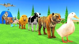 Paint Animals Duck,Tiger,Cow,Lion,Shark,Tung Tung Tung Sahur,Elephant,Dinosaur Fountain Crossing