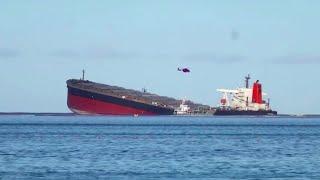 Ship that caused Mauritius oil spill passed checks