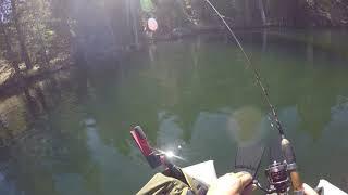 Fishing for Brown Trout on Sierra Slammers Mini Swimbait Mini Jig