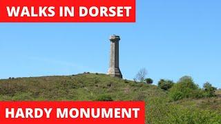WALKS IN DORSET at the HARDY MONUMENT & PORTESHAM (INCLUDING UPDATE ON MY NEW WHIPPET PUPPY) [4K]