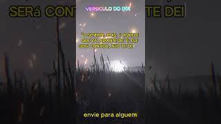 Deuteronomio 31:8 Eu caminho à tua frente, nunca te abandonarei#versiculododia#versiculodiaro#fé