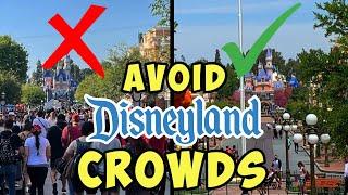 Least Crowded Times to Visit Disneyland! When to Visit in 2024