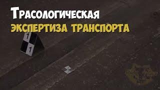 Криминалистика. Трасологическая экспертиза автомобильного транспорта