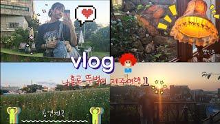 나홀로 뚜벅이 제주도여행 4박 5일 브이로그 첫번째‍️뚜벅이는 설레고 힘들어....(차롱전복칼국수, 스테이달꿈, 용소담)