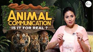 Animal Communication is it for Real?? || Sadaa || Sadaa's Green Life || Trend Loud