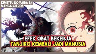 KNY S4 (203) EFEK OBAT BEKERJA!!! Tanjiro Akhirnya Bisa Kembali Menjadi Manusia!!