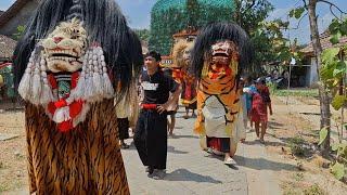 Kirab Barongan SINGO KUBRO Ngerak Anak Sunat live Desa Sidomulyo